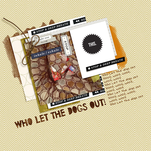 Who let the dogs out