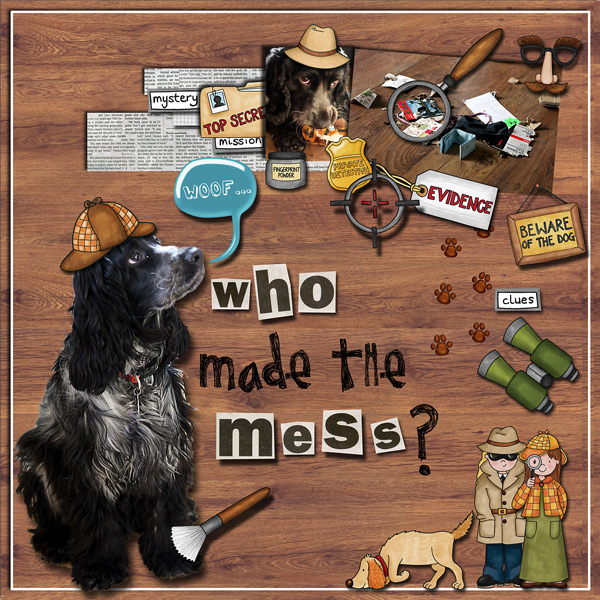 Who made the Mess?