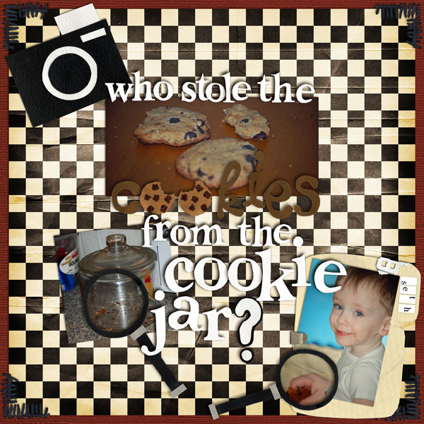 Who Stole The Cookies....