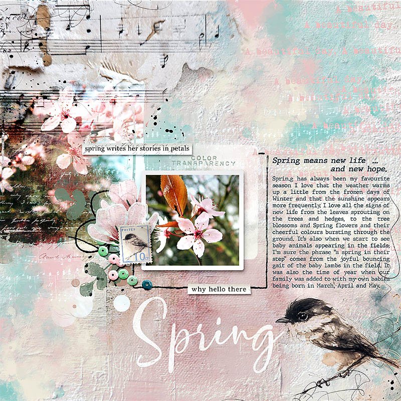 Why Hello There Spring