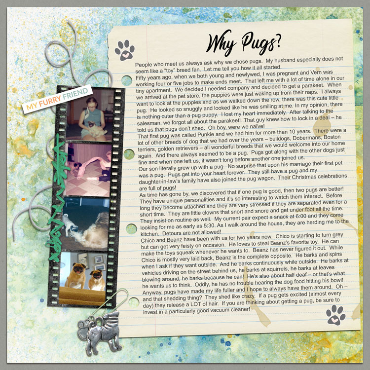 Why-pugs