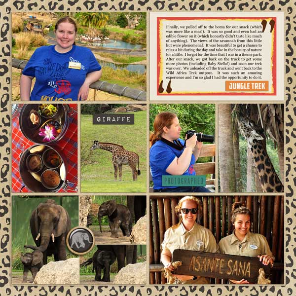 Wild Africa Trek (4)