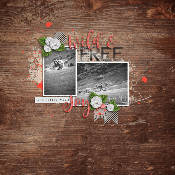 Wild And Free