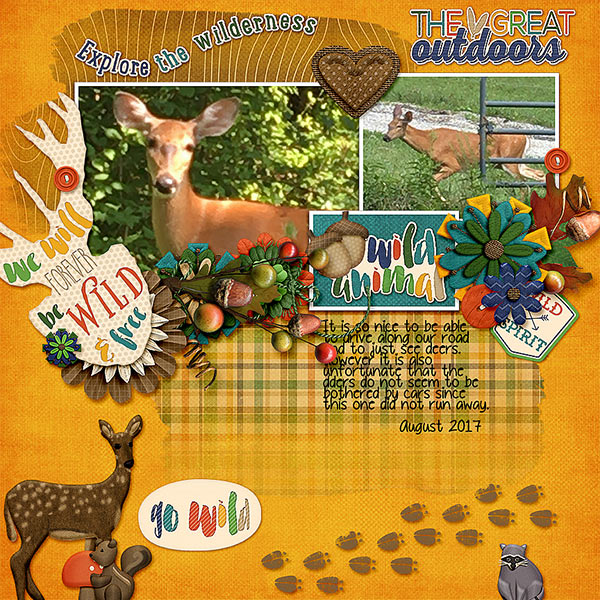 Wild-Animal_Deers_Aug-2017