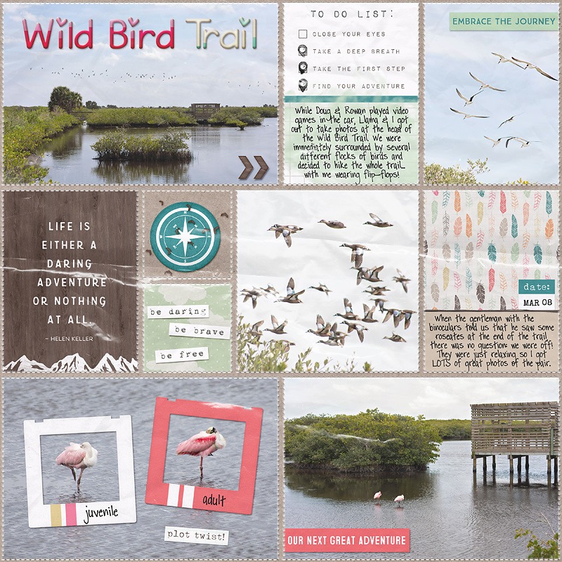 Wild Bird Trail