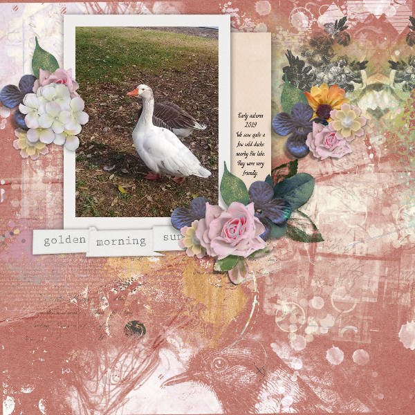 Wild Ducks