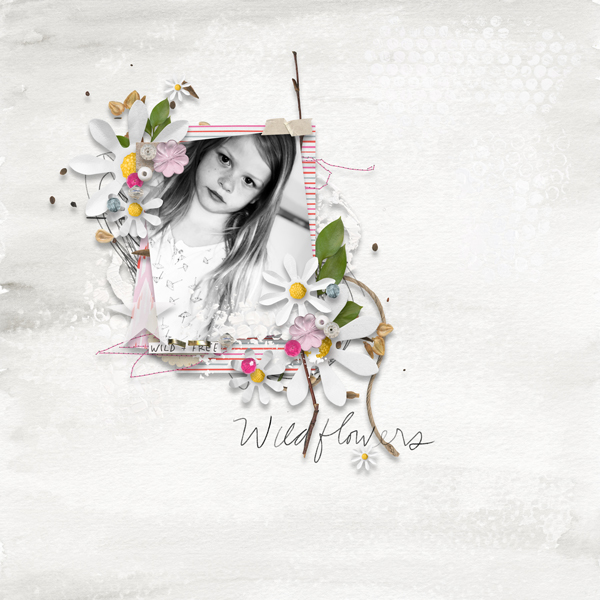 Wild Flower