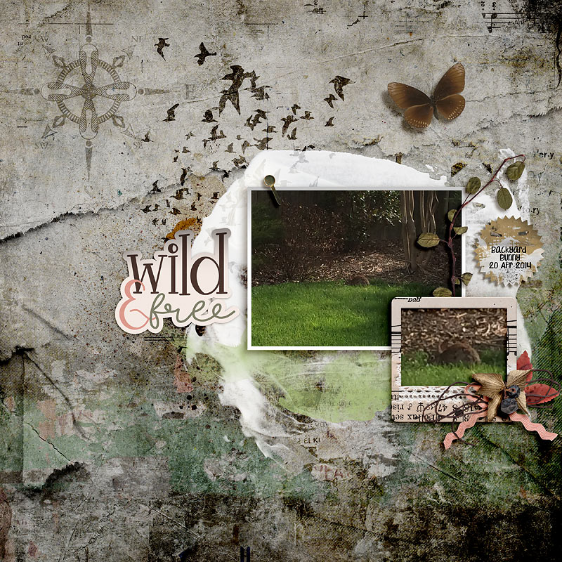 Wild & Free