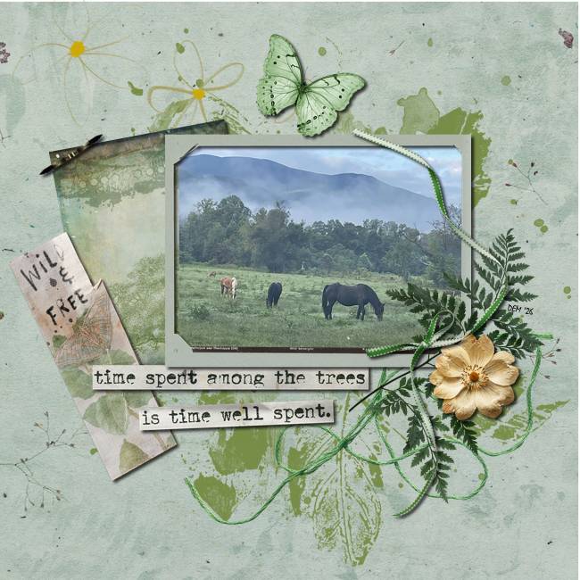 Wild Horses
