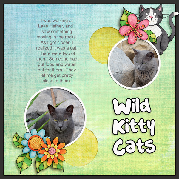 Wild Kitty Cats