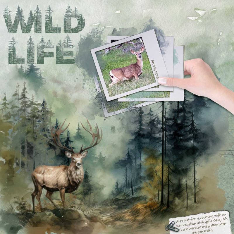 Wild-life