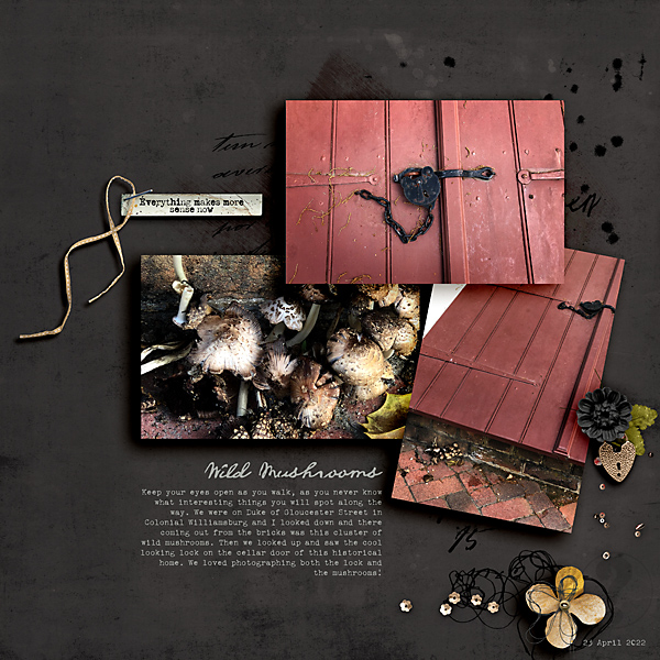 Wild Mushrooms 2