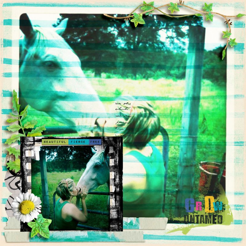 Wild n Free Inspiration9-19