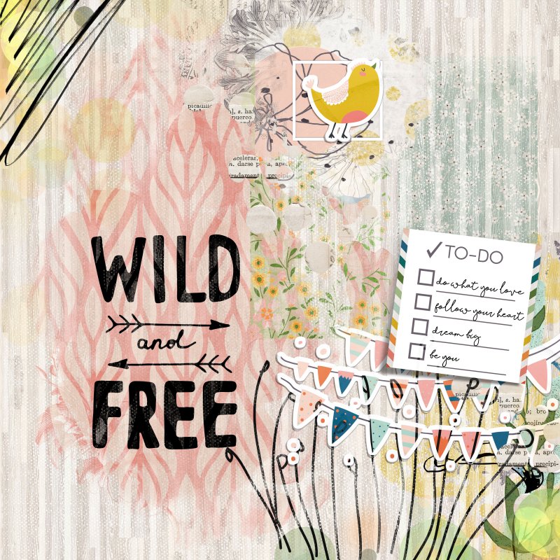 Wild N Free - NBK DSD Challenge - FF 10/03