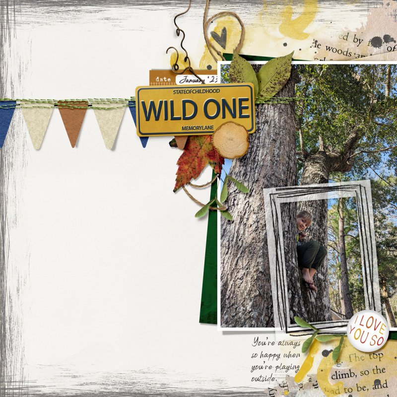 Wild One (MOC 11 -Blind Scrap)