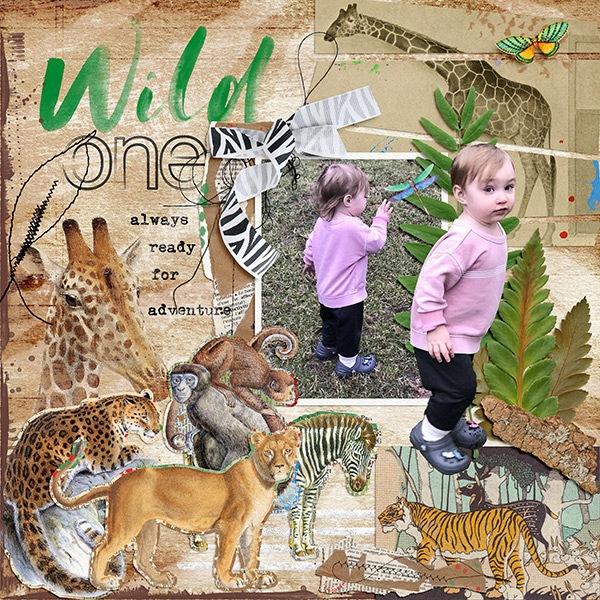 Wild One