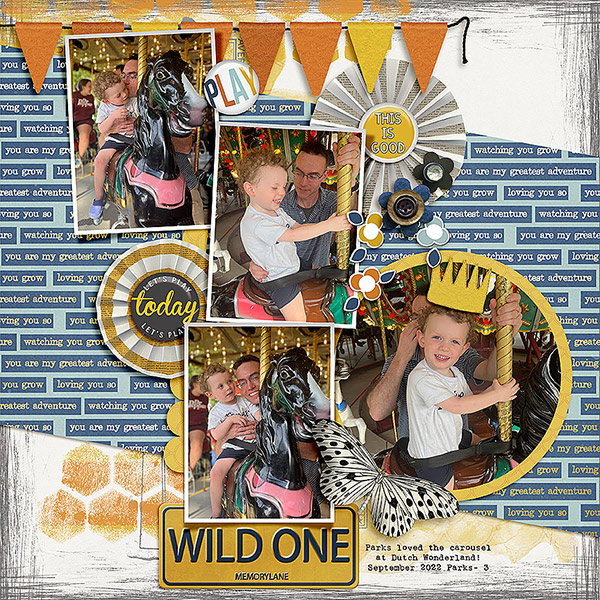 Wild One
