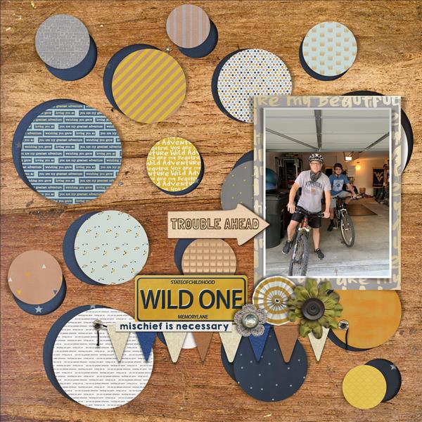 Wild Ones