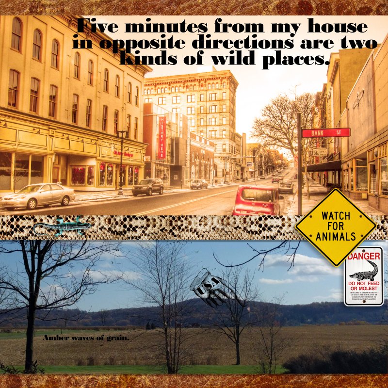 Wild Places