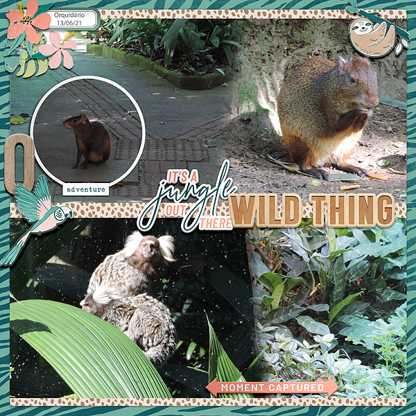 wild thing