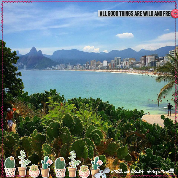 WilD Things: Rio de Janiero {continua lindo}
