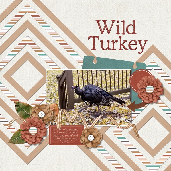 Wild Turkey