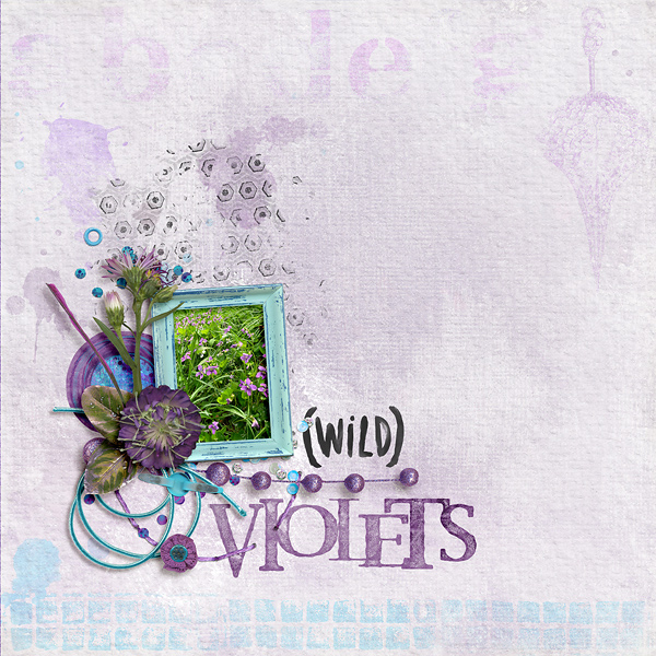 Wild Violets