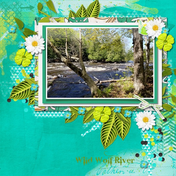 Wild Wolf River