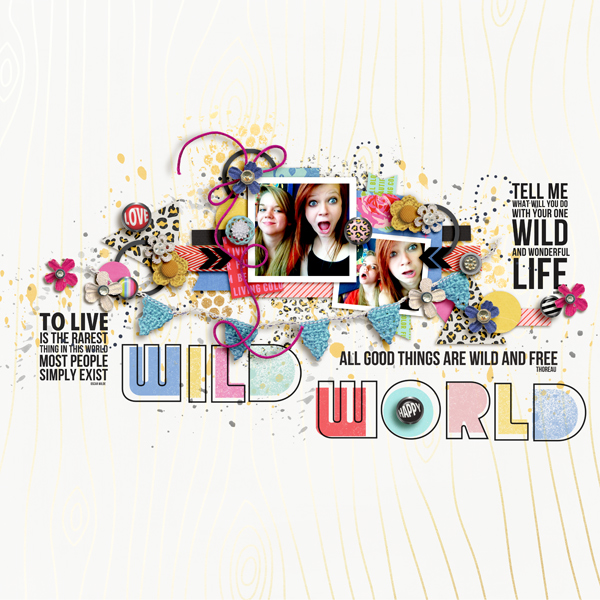Wild World