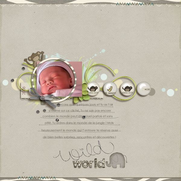 Wild world