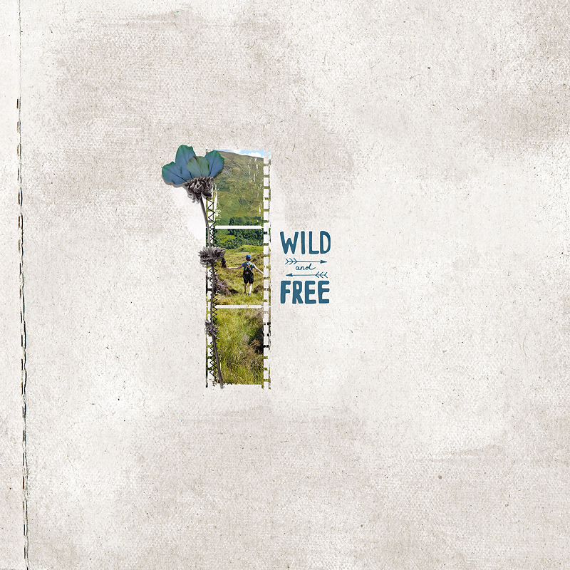 Wildandfree