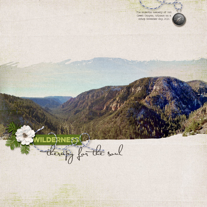Wilderness - Therapy for the Soul
