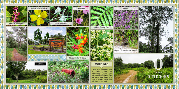 Wildflower Walk