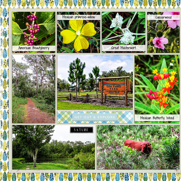 Wildflower Walkd_left