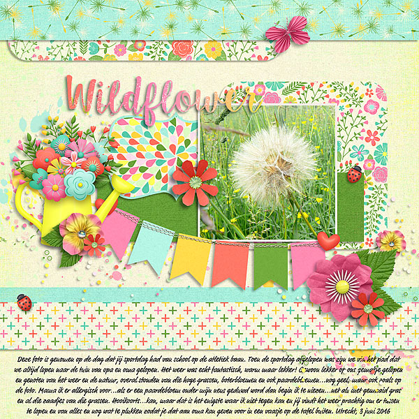Wildflower