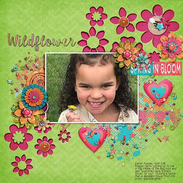 Wildflower
