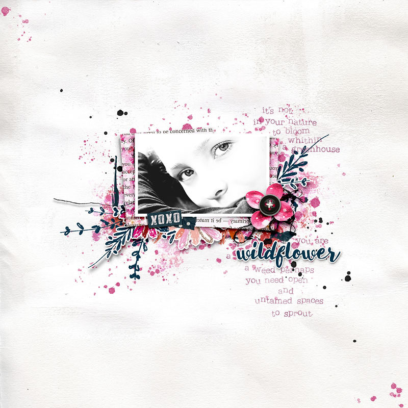 WILDFLOWER