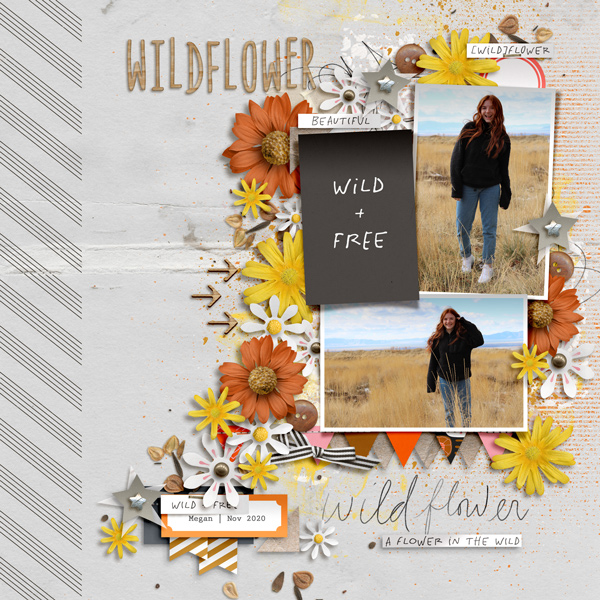 wildflower