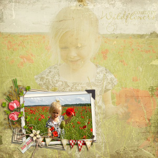 Wildflower
