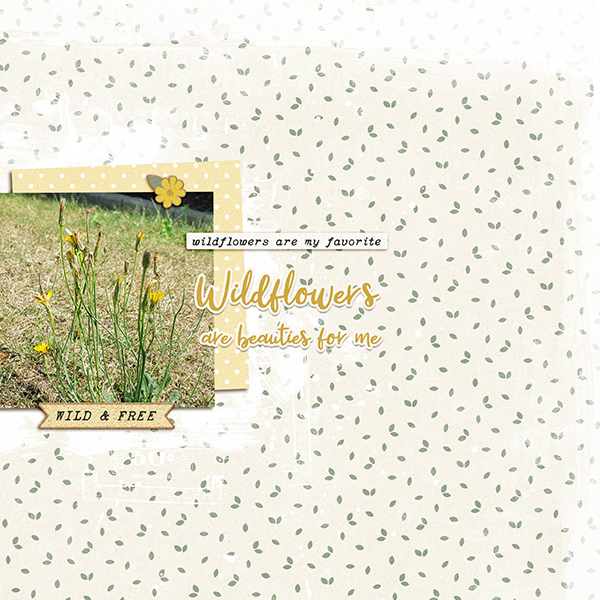 Wildflowers Beauty