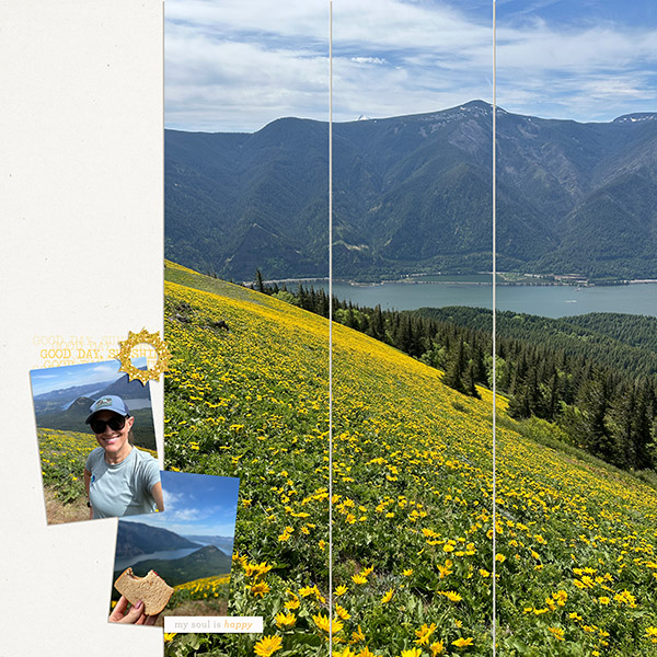 Wildflowers On Dog Mountain