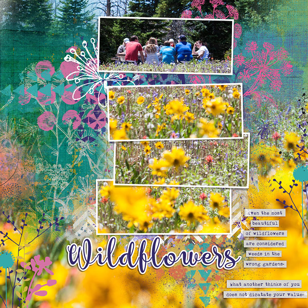 Wildflowers