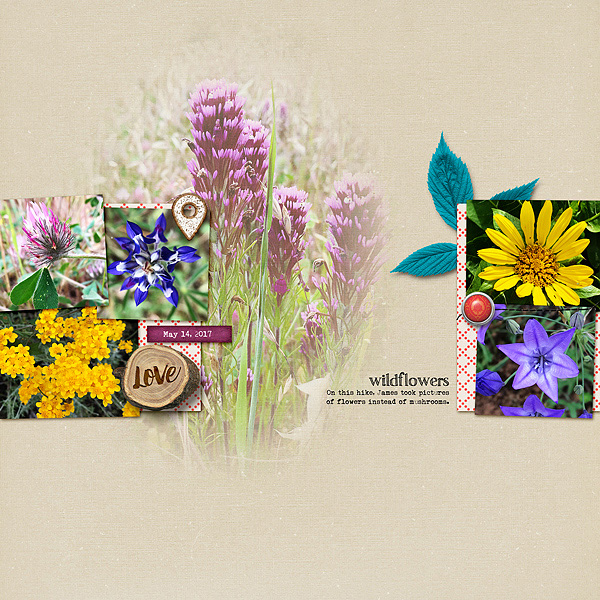 Wildflowers