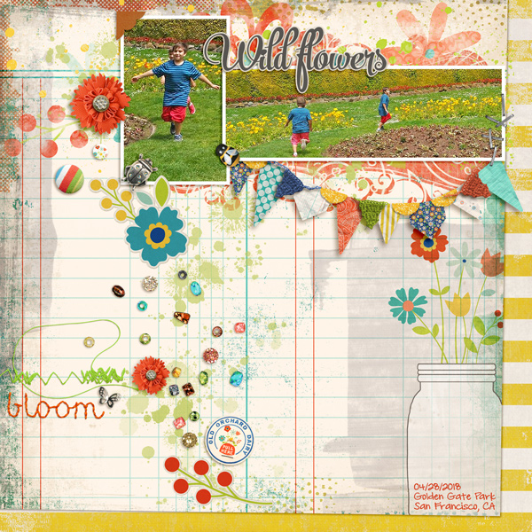 Wildflowers