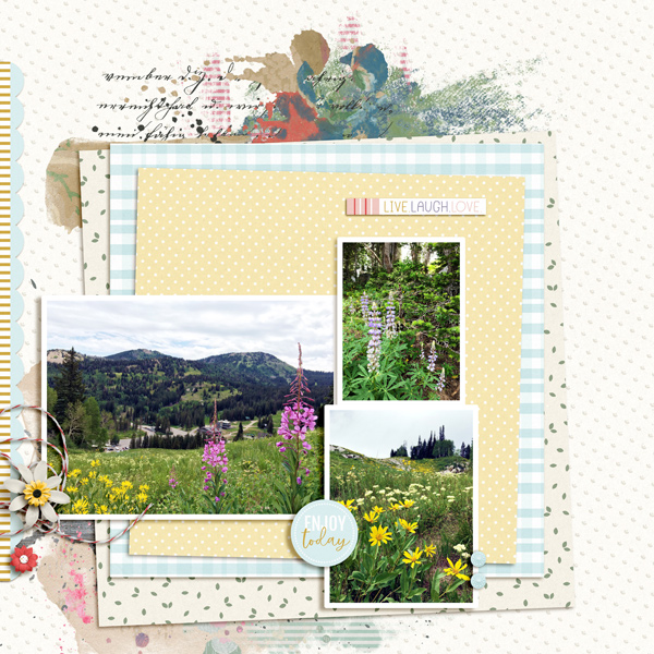 Wildflowers