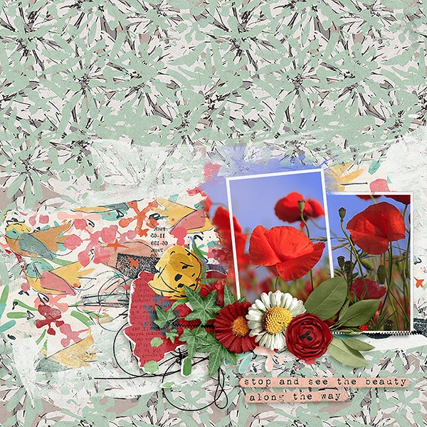 Wildflowers