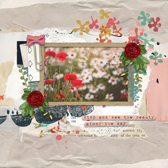 Wildflowers