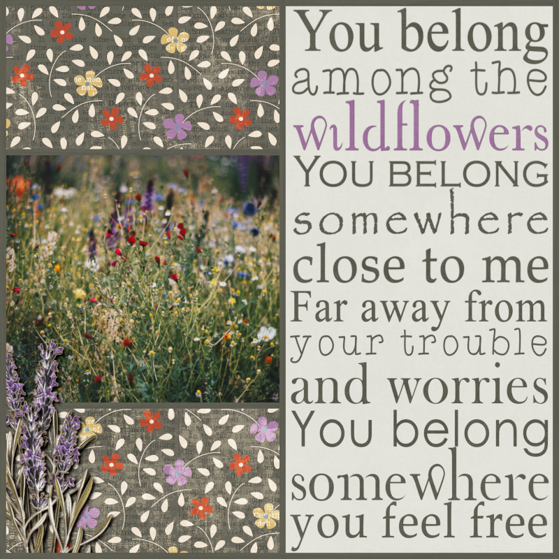 Wildflowers