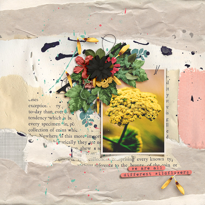 Wildflowers