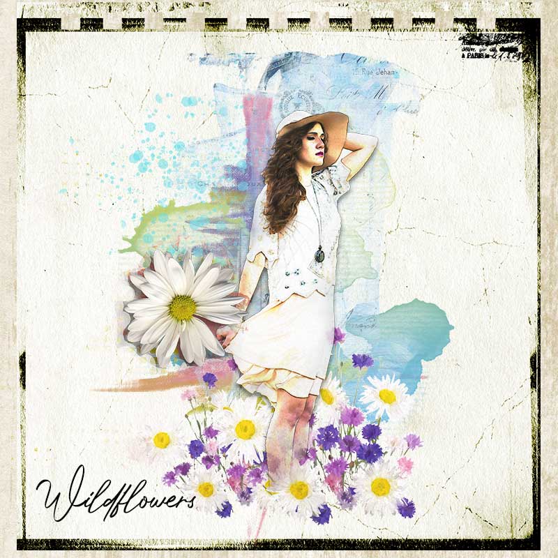 Wildflowers